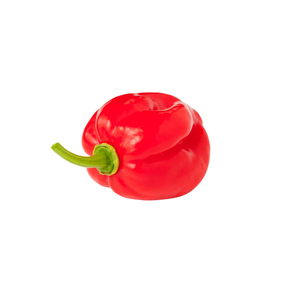 Scotch Bonnet