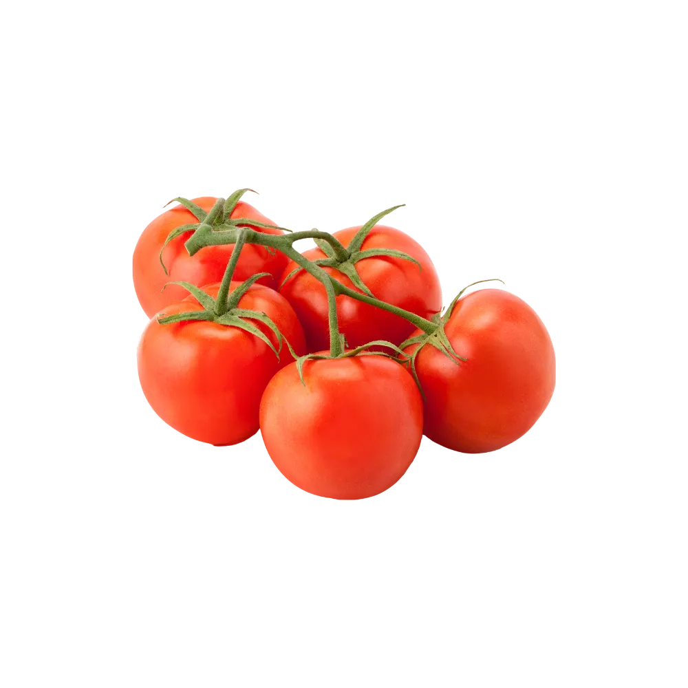Tomatoes on Vine