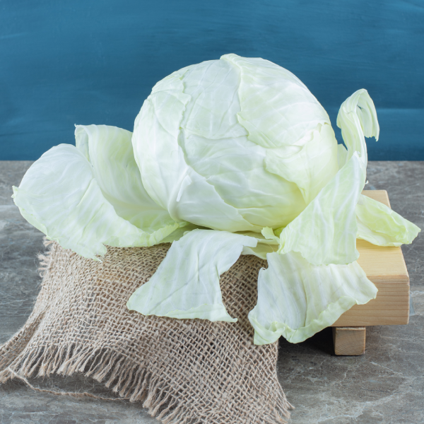 Cabbage