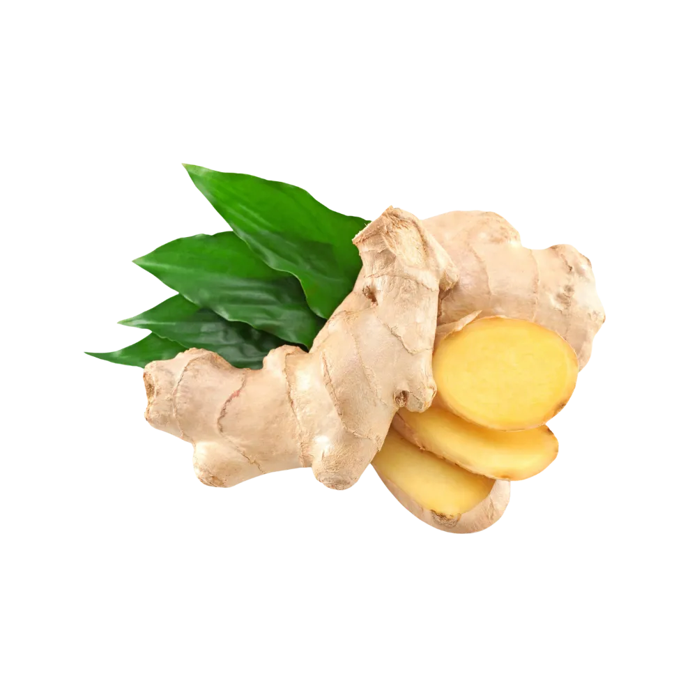 Ginger